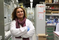 Elisabeth Engel, del grup de Biomaterials per a Teràpies Regeneratives recreen un tumor de mama amb una impressora 3D, partint del teixit mamari d'una truja.