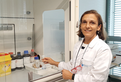 La investigadora Maria Pau Ginebra, distingida per l’European Research Council amb un Advanced Grant.